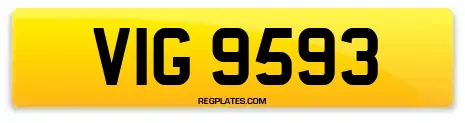 VIG 9593