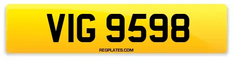 VIG 9598
