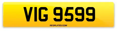 VIG 9599