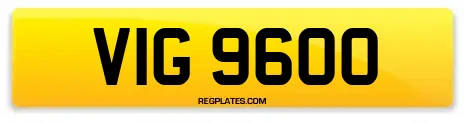 VIG 9600