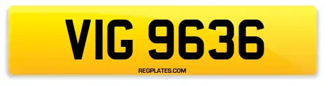 VIG 9636