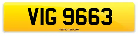 VIG 9663
