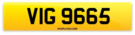 VIG 9665