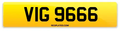 VIG 9666