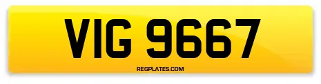 VIG 9667