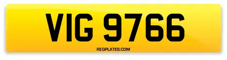 VIG 9766