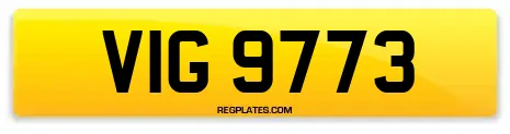 VIG 9773