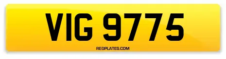 VIG 9775