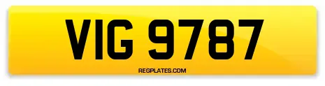 VIG 9787