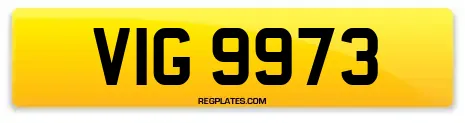 VIG 9973