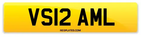 VS12 AML