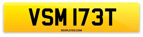 VSM 173T