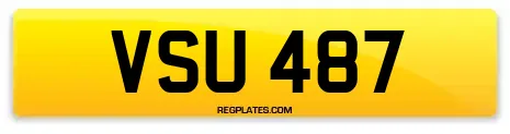 VSU 487