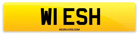 W1 ESH