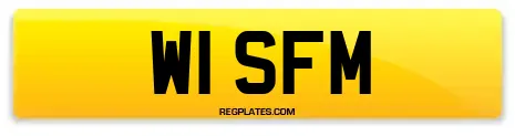 W1 SFM