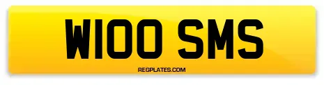 W100 SMS