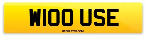 W100 USE