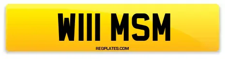 W111 MSM