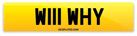 W111 WHY