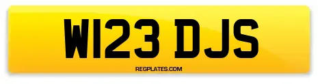 W123 DJS