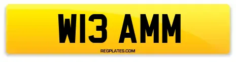 W13 AMM