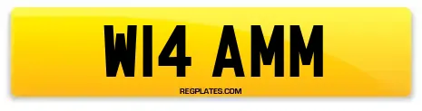 W14 AMM