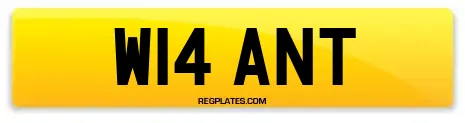 W14 ANT