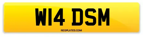 W14 DSM