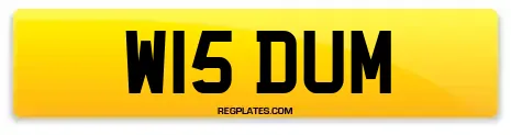W15 DUM