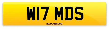 W17 MDS