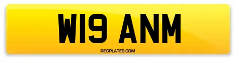 W19 ANM
