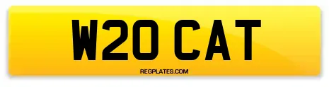 W20 CAT