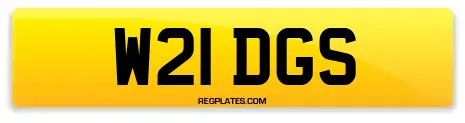 W21 DGS