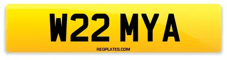 W22 MYA