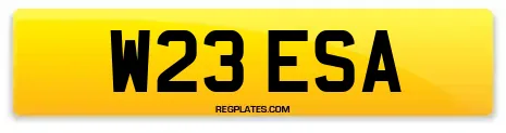 W23 ESA