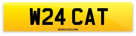 W24 CAT