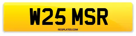 W25 MSR