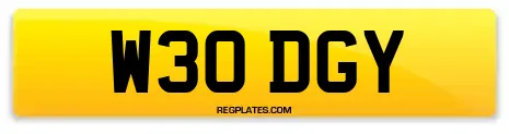 W30 DGY