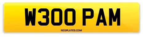 W300 PAM