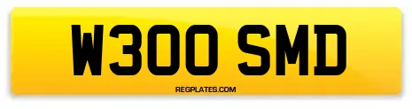 W300 SMD