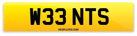 W33 NTS