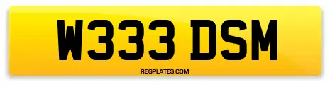 W333 DSM