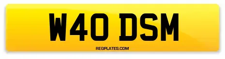 W40 DSM