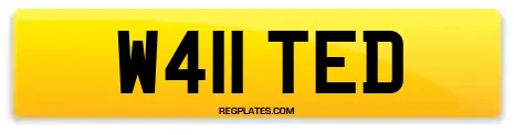 W411 TED