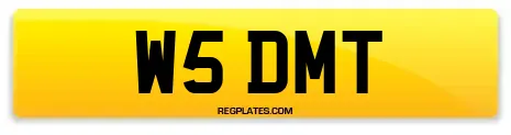 W5 DMT