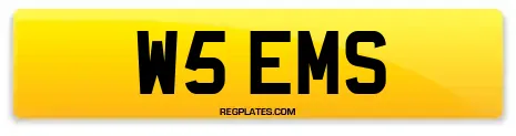 W5 EMS