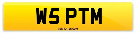 W5 PTM