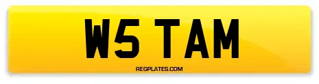 W5 TAM