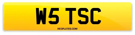 W5 TSC