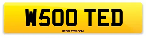 W500 TED